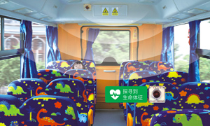 ZK6935DX