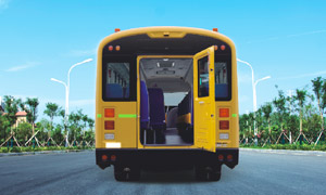 ZK6805DX