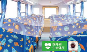 ZK6595DX