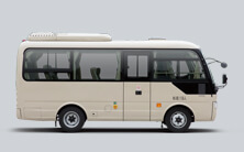 ZK6609D